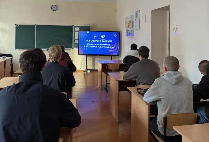 разговоры о важном (4)