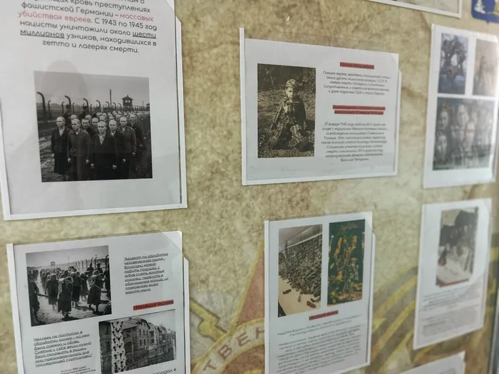 Выставка-инсталляция «Стена памяти» (3)