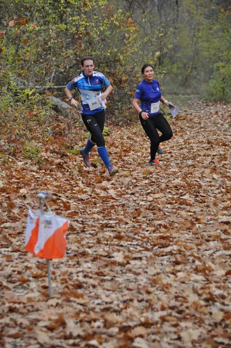соревнования по спортивному ориентированию (1)