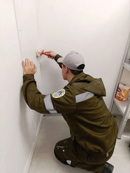 «Профессионалы» по компетенции «Малярные и декоративные работы» (3)