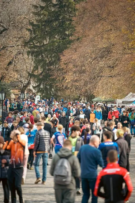 соревнования по спортивному ориентированию (2)