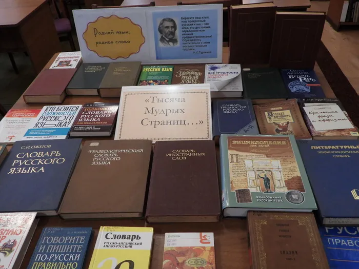 библиотечный час (4)